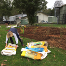 Tidying empty mulch bags. Cambridge Tree Trust